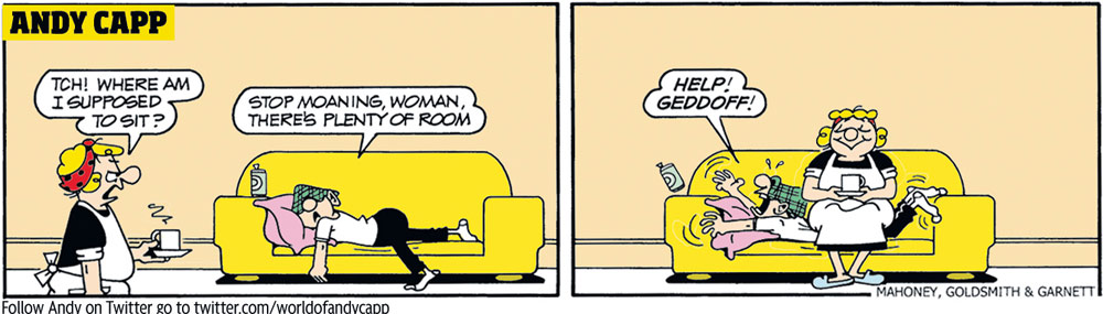 image-2-for-simon-s-cat-and-andy-capp-20-01-12-gallery-202019531
