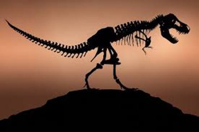 Bauscia - Jurassic