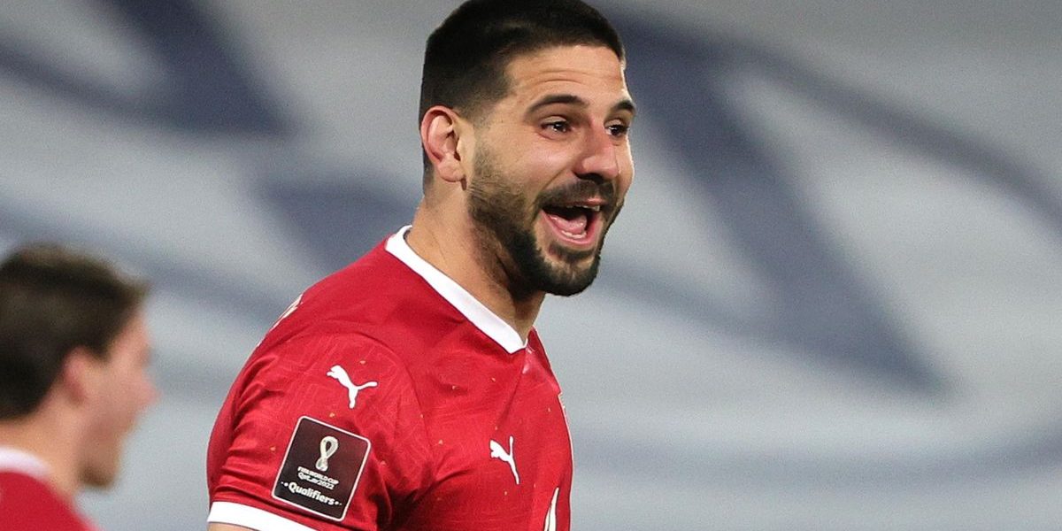 Aleksandar Mitrovic